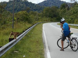 Waterfall country side cycling tour bike ride